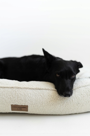 Преміум лежак Boucle Ecru — 60x50 см — для собак та котів (йорк, мальтезе)