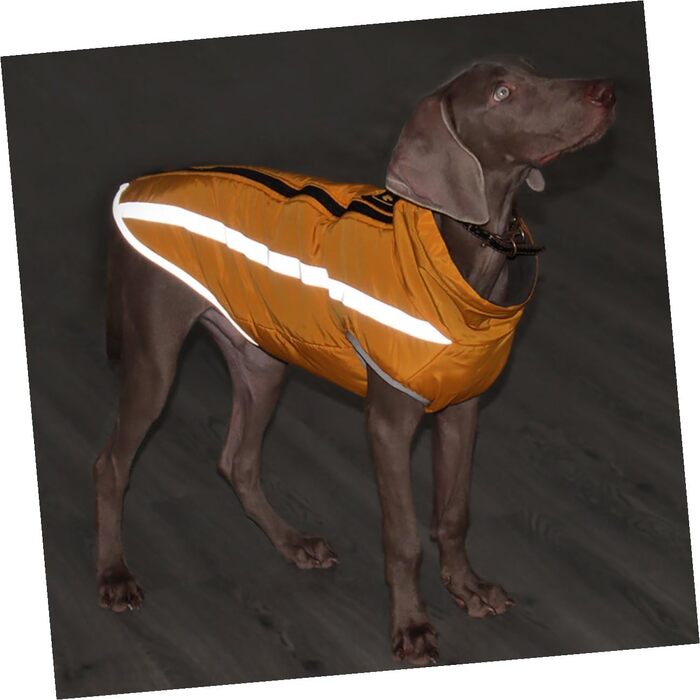 Жовтий дощовик для цуценят Hohopeti з міцного матеріалу, з підкладкою, для прогулянок у дощ