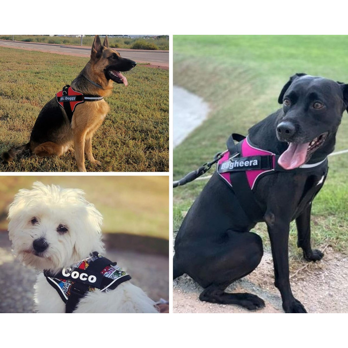 SUPER DOGGY Персоналізована шлейка для собак, світловідбивна, безпечна, з 2 нашивками імені, для малих, середніх і великих порід, розмір XL (30-45 кг), дизайн Comic