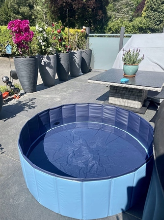 Великий міцний садовий басейн для собак XXL