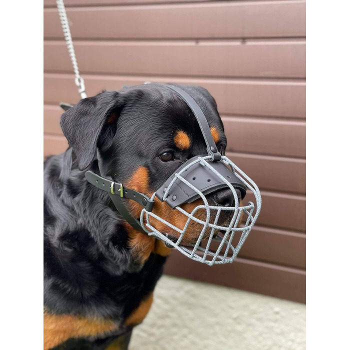 Міцний нашийник-маска для собак з дротяної сітки, Rottweiler, Mastiff, Golden Retriever та інші (шкіряний, чорний, R4)