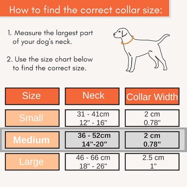 Нашийник для собак середнього розміру, світловідбиваючий, з підкладкою, регульований, металева застібка, кільце з алюмінію, колір Dreamy Aqua