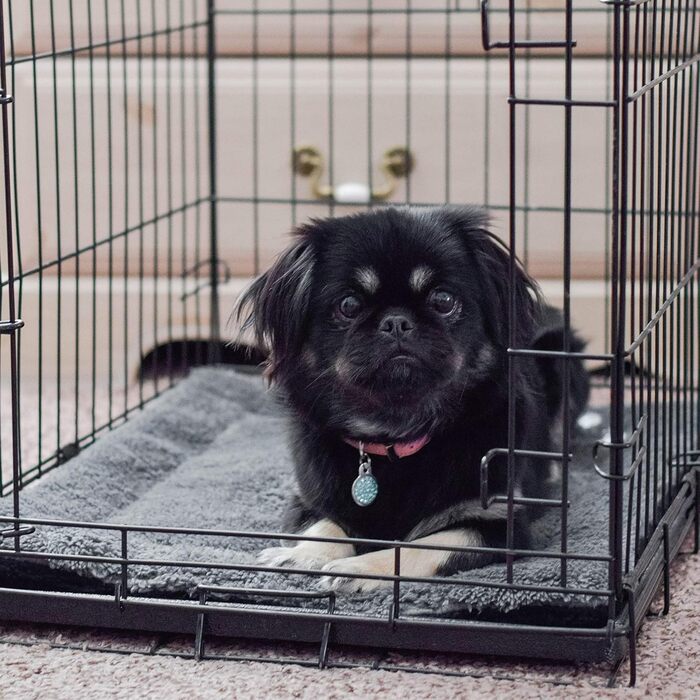 Самопідігріваюча підстилка для котячого ліжка K&H Pet Products, термопідстилка для котів та собак, грілка для домашніх тварин, підстилка-грілка для диких та домашніх котів, сіра/чорна, 53,3 л, 53 x 43 x 3 см