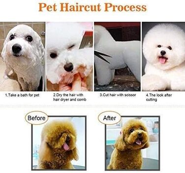 Набір для грумінгу домашніх тварин: професійні ножиці для собак та котів, набір для догляду, нержавіюча сталь