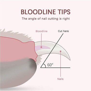 Професійна ножиця для грумінгу собак та котів: безпечна та зручна для маленьких порід, цуценят та кроликів (сірий)