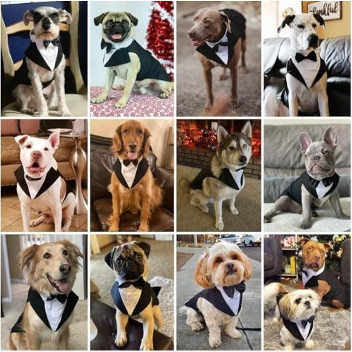 Костюм для собак 