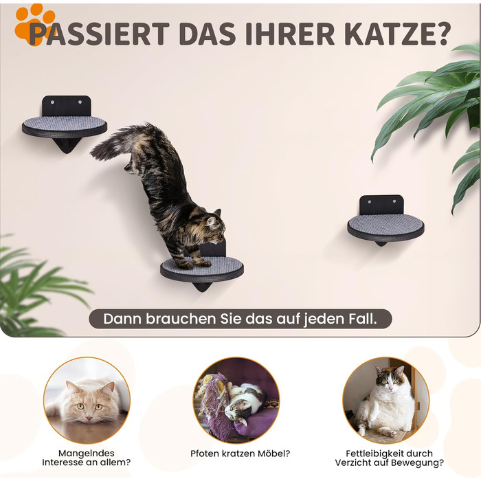 Кліматична стіна для котів XXL з берези | Набір з 3 сходинок з дряпальною поверхнею | Сходи для котів на стіну | Сітка для лазіння котів (Темний колір)