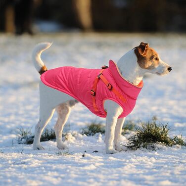 Зимові куртки для собак, шлейки, водонепроникні, з підкладкою з флісу, відбивачі, персоналізовані, для маленьких собак, оранжевий, XL (довжина спини: 44 см), S (довжина спини: 30 см), рожевий