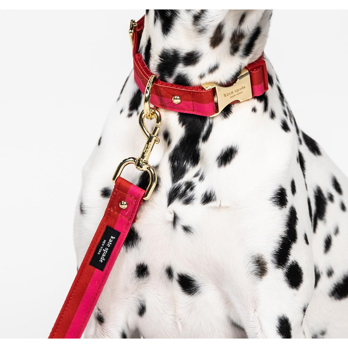 Повідок для собак Kate Spade New York 1,4 м, міцний, з золотистою фурнітурою, стильний для малих і середніх порід