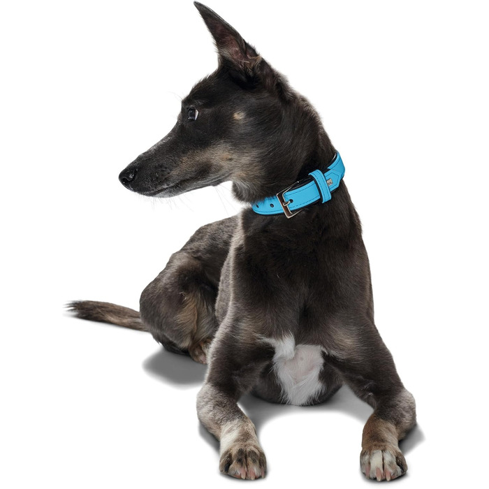 Нашийник для собак HUNTER SOFTIE, штучна шкіра, м'який, легкий у догляді, розмір L (50-55 см), колір: бірюзовий