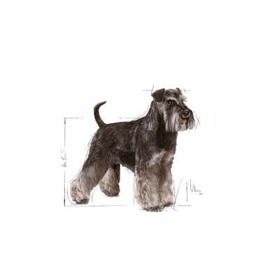 Сухий корм Royal Canin BHN Miniature Schnauzer Adult для дорослих мініатюрних шнауцерів, 3 кг