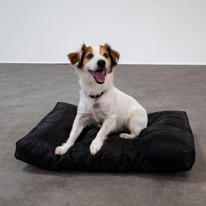 Килимок для собак Bananair - м'який та зручний, водовідштовхуючий, легко чистити. XXL лежанка для собак, кошик для собак, лежанка для собак різних розмірів/кольорів (75 x 50 x 10 см, чорний)