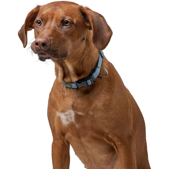 Нашийник для собак Hunter Vario Plus, сірий, M-L/2.0, надійна застібка, комфортний