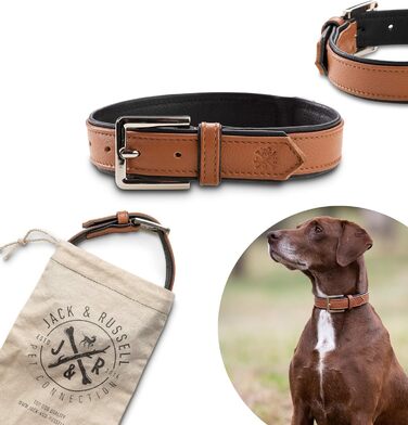 Преміум шкіряний нашийник для собак Jack Russell Lilly - нашийник з натуральної шкіри телятини, нашийник для собак, шкіряний (XXL, Коричневий/Чорний) XXL - обхват шиї 49,0-60,5 см Коричневий/Чорний
