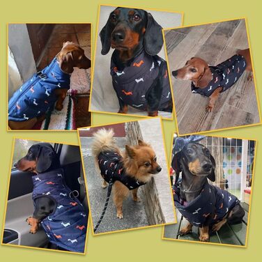 Теплий зимовий одяг для собак: куртка для маленьких собак, вітронепроникний, чорний, розмір M (S, блакитний)