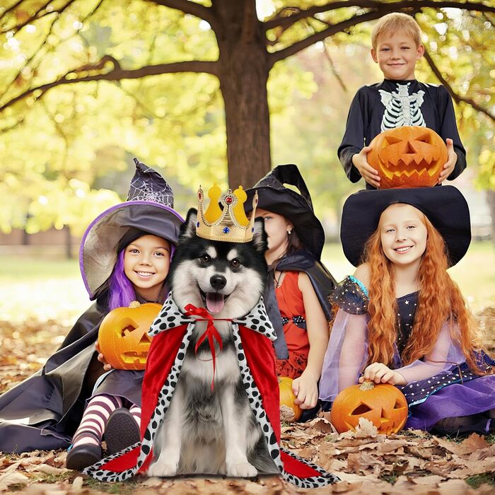 Костюм для собак 