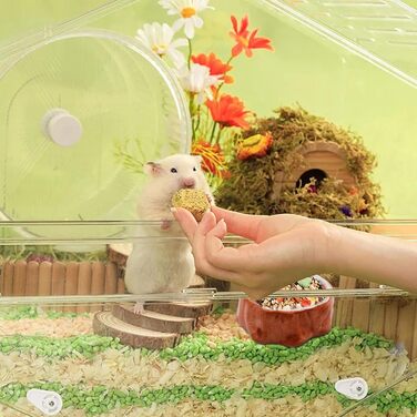 Миска для тварин ANMOO: керамічна годівниця для хом'яків, щурів та інших дрібних тварин