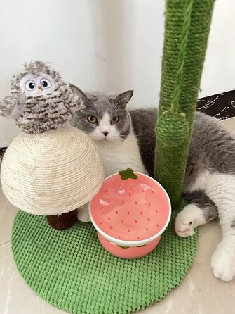 Котлові миски для котів Diskary: керамічні, підняті, з нахилом 15°, для котів, цуценят та маленьких собак (полуниця)