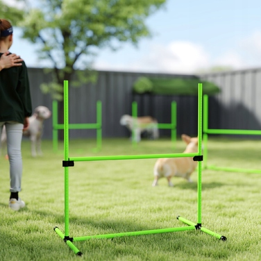 Набір для дрегування собак PawHut Agility, 4 частини, регульований, зелений