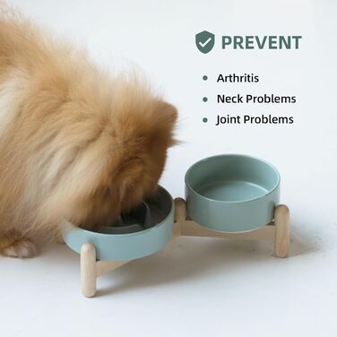 Підвищений годівниця для собак та котів Havniva з кераміки, для повільного годування, 13 см та 15,5 см, з дерев'яним підставкою, 2 шт. світло-зелений + підставка