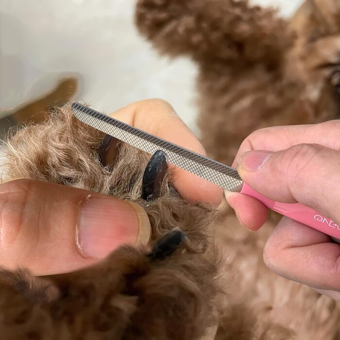 Кусачки для нігтів маленьких собак та котів OneCut, нержавіюча сталь, для кроликів, морських свинок, птахів, цуценят, кошенят та дрібних тварин, професійні та домашні