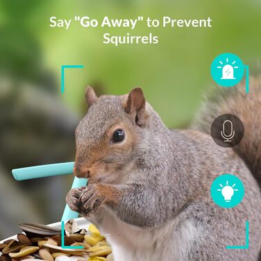 NETVUE Birdfy розумна годівниця для птахів з камерою, Wi-Fi, сонячною панеллю та безкоштовною AI-ідентифікацією птахів, автоматичний відеозапис, синя