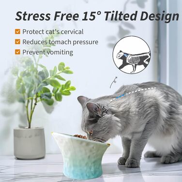 Підвищені годівниці для котів, 2 шт., кераміка, блакитний/зелений, зручні для вусів