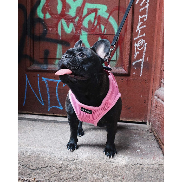 Нашийник для собак Пуппія (XS, Pink) - м'який, для малих та середніх порід, також для цуценят, анти-pull