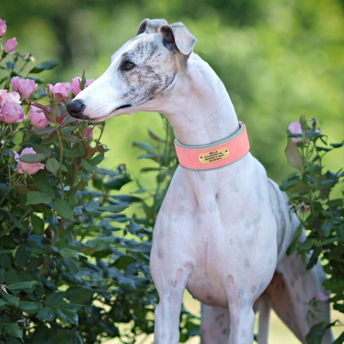 Нашийник для собак PET ARTIST з міцної PU шкіри, середнього та великого розміру, з можливістю гравіювання імені, надійна металева застібка, підходить для пітбулів та великих собак, L (XL: обхват шиї 48-58 см, ширина 5 см, рожевий)