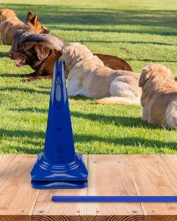 Спортивні фігури для аджиліті – комплекти перешкод для собак, коней та дітей – 50 см (червоний)