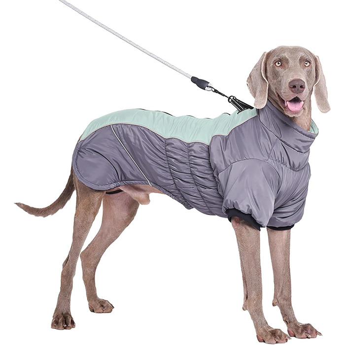 Зимові куртки для собак з натуральним хутром: теплі, відображають світло, для холодної погоди (XS, C)