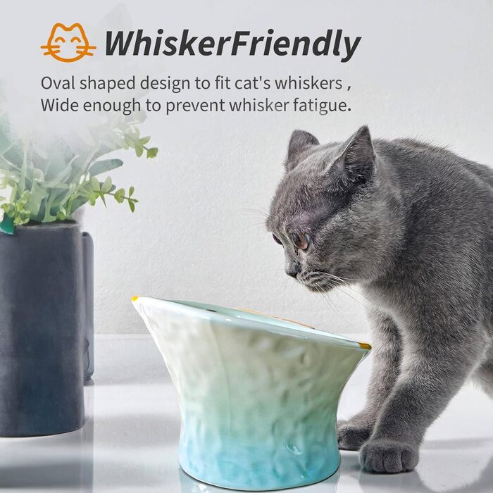 Підвищені годівниці для котів, 2 шт., кераміка, блакитний/зелений, зручні для вусів