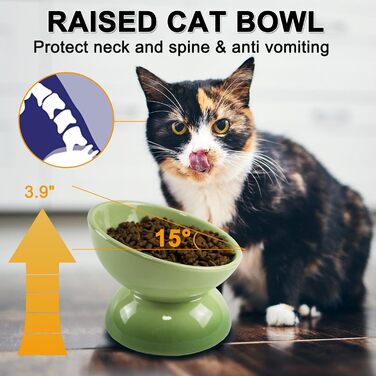 Підвищений годівниця для котів з кераміки, нахилений миска для води або корму, порцеляна, без стресу, запобігання зворотному потоку, придатний для миття в посудомийній машині та мікрохвильовій печі, лаванда (перехід кольору зелений)