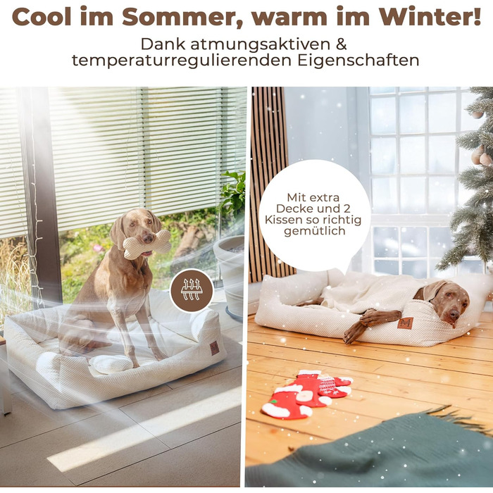 М'яке ліжко для собак Manno з піною з пам'яті ефекту – для середніх та великих собак | Зручне, знімний чохол, неслизьке та водовідштовхувальне | Безкоштовний ковдра та 2 подушки (XL)