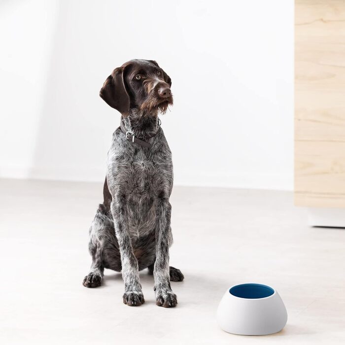 Навіс для собак Navaris Design з кераміки - велика миска для корму - миска для собак, миска для їжі - миска для кокер-спанієля та собак з довгими вухами - миска для собак з довгими вухами біло-блакитна