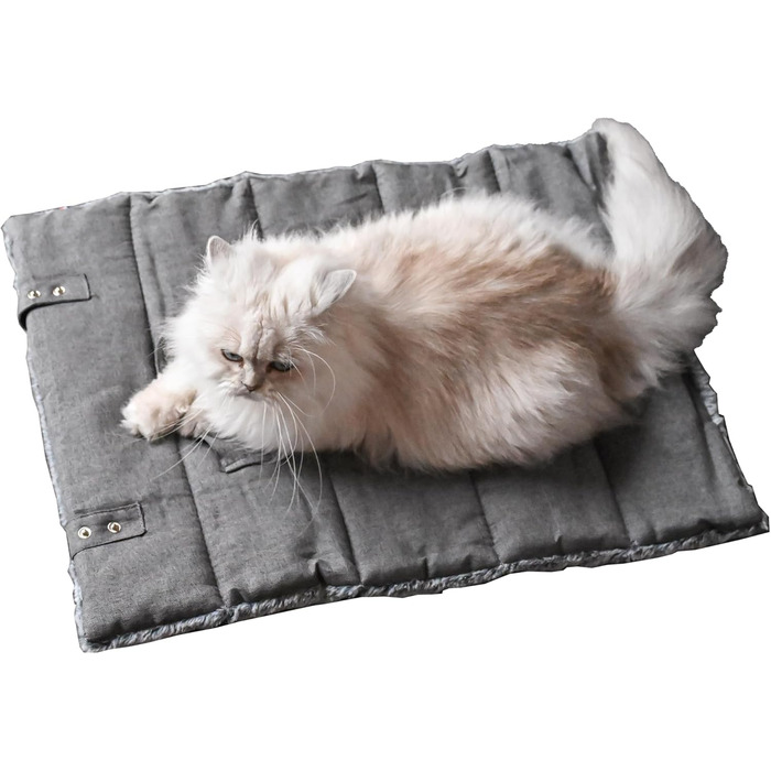 Килимок для собак великих порід, прямокутний, для суглобів, двосторонній, літо/зима, легко переносити, не деформується, машинне прання (S (45 x 60 см), антрацит)