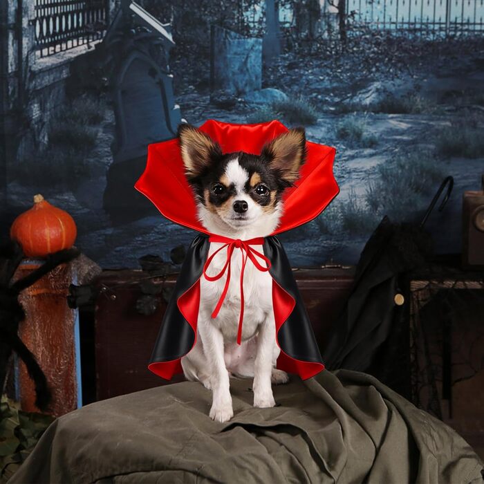 Костюм на Хелловін для собак та котів: вампірський набір, чорний/червоний, чорний/фіолетовий. Розміри S, червоний
