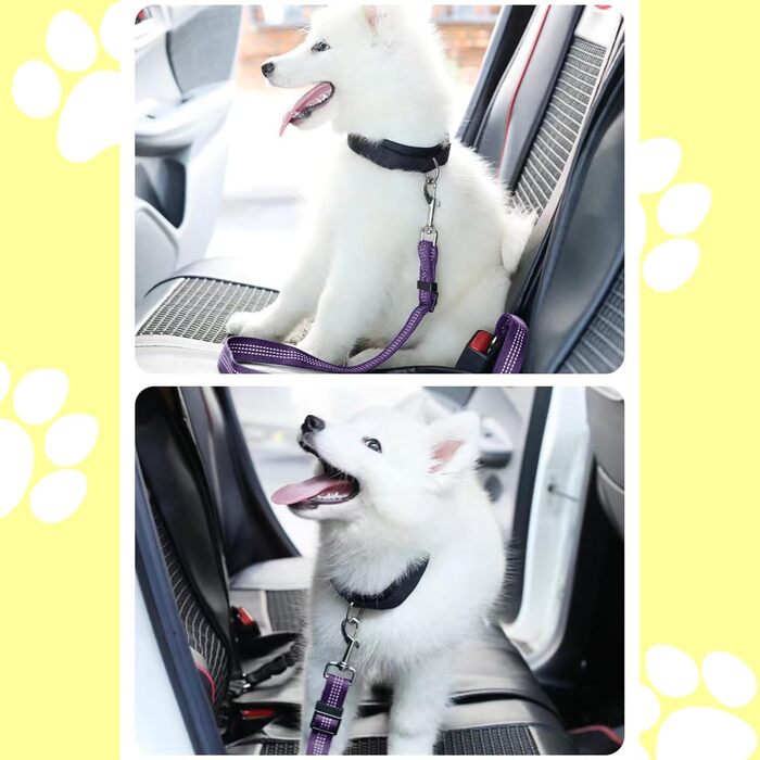 Ремінь безпеки для собак у машину, еластичний, подвійний, регульований (фіолетовий)