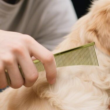 Флохкам для собак та котів: щітка для грумінгу шерсті. Аксесуар для догляду за шерстю літніх собак, довгошерстих порід. Для щоденного використання під час линяння, підходить для цуценят (золотий)