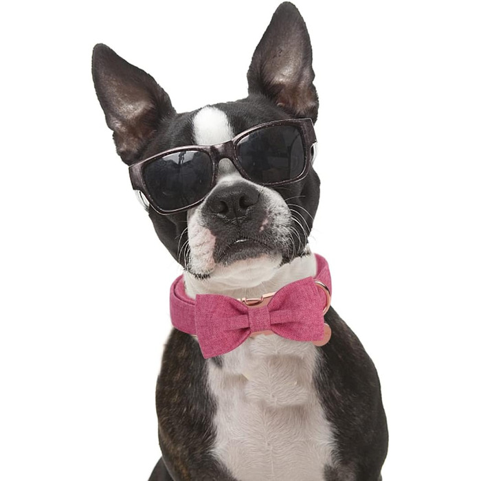 Елегантний собачий нашийник Dogwong з бантиком, білий. Зручний, регульований нашийник для собак маленьких та середніх порід. Ідеальний подарунок для дівчаток та хлопчиків. У комплекті 1 шт.