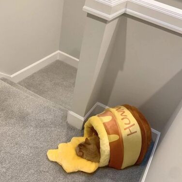 Квіткове ліжко для котів, затишна печеринка, ліжко-гніздо для кошенят, ліжко-гніздо для котів у формі меду, для маленьких котиків