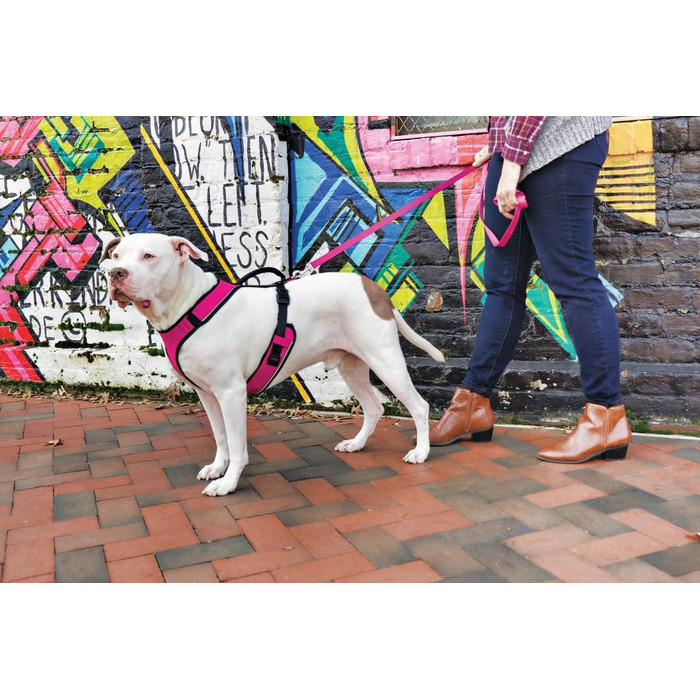 Шлея для собак PetSafe Easysport Medium рожева