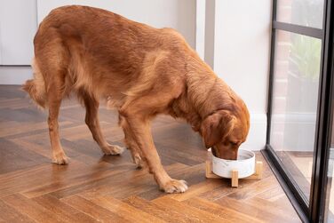 Керамічна миска для собак та котів Pet Wiz з бамбуковим підставкою, піднята миска для зручної позиції під час їжі та пиття, 5 кольорів, об'єм 850 мл (Мраморний сірий)