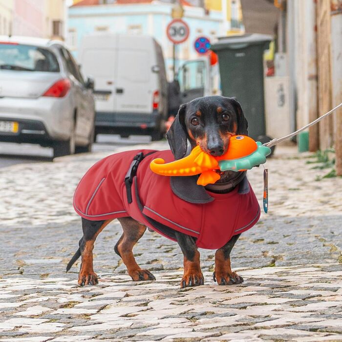 Зимовий теплий куртка для собак - для такс, водонепроникний, з захистом живота та отвором для повідка - червоний