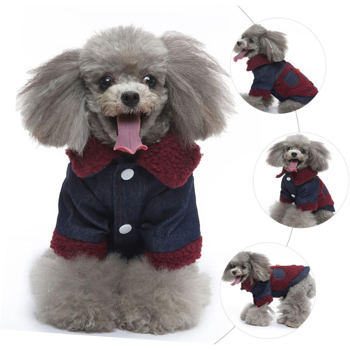 ERINGOGO Зимовий теплий водонепроникний одяг для собак, XL, для активного відпочинку та фотосесій