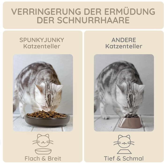 Набори мисок для котів SPUNKYJUNKY 3 шт. з кераміки, сірі, 300 мл