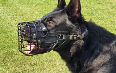 Нашийник-маска для собак Dingo Gear S03041 для німецької вівчарки - професійний, зручний, для довгих прогулянок
