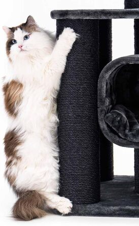 Драбина для котів Petrebels Skyline XXL, 186 см, чорна. Підходить для великих котів, таких як Мейн-кун