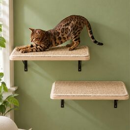 Комплект настінної драбинки для котів Katzen Kletterwand з 4 рівнями: 2 сходинки та 2 майданчики для сну, соснове дерево, настінне кріплення
