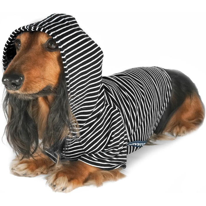 Світшот для собак DJANGO, теплий, м'який, з капюшоном, для маленьких собак до 11,3 кг (Даксель, цуценята), чорний, розмір S